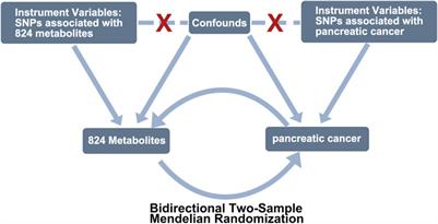 Unveiling the intricate causal nexus between pancreatic cancer and peripheral metabolites through a comprehensive bidirectional two-sample Mendelian randomization analysis